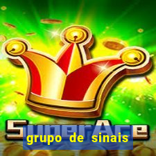 grupo de sinais fortune rabbit